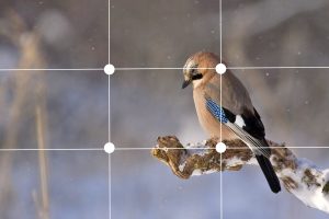 Regra dos terços fotografia
